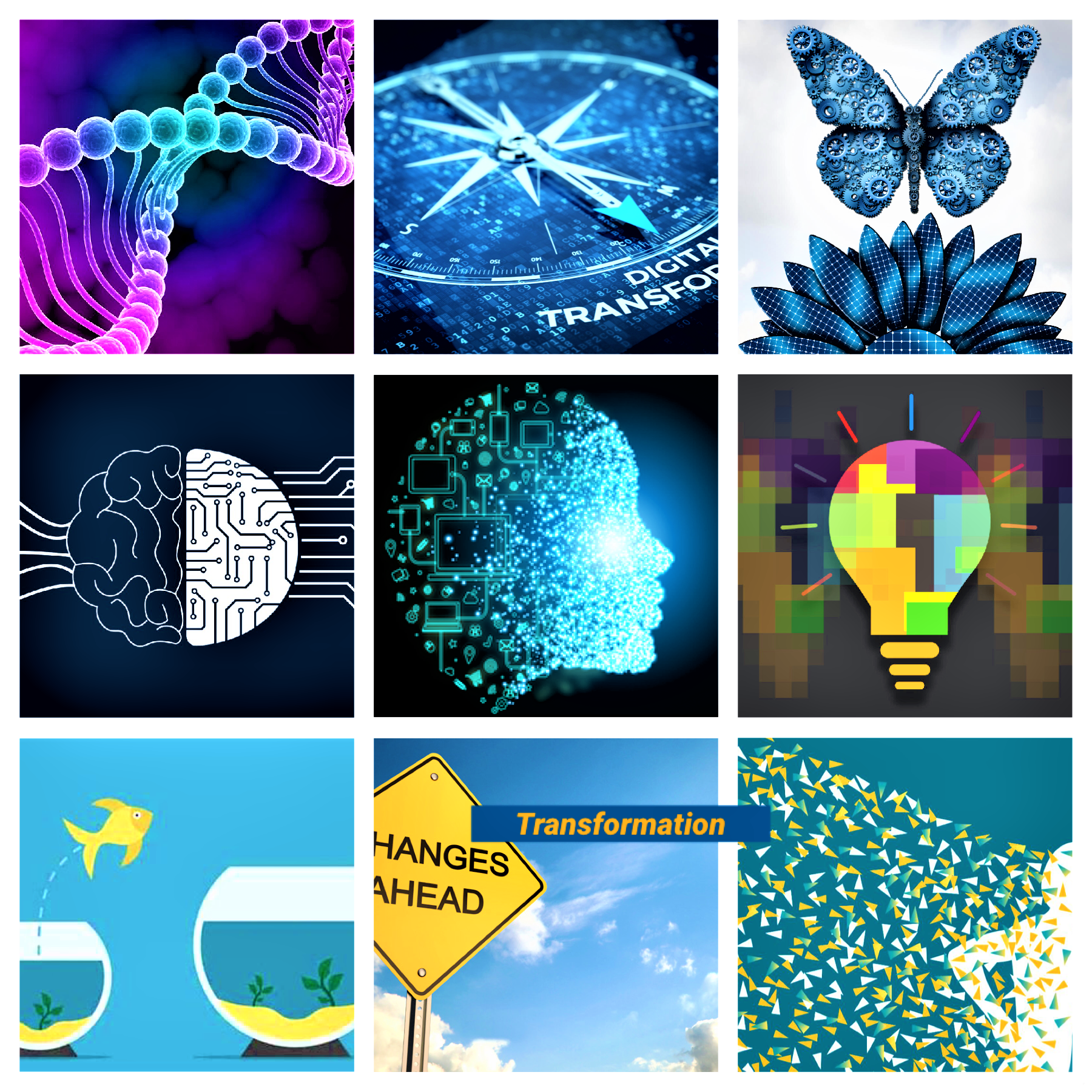 Transformation Collage