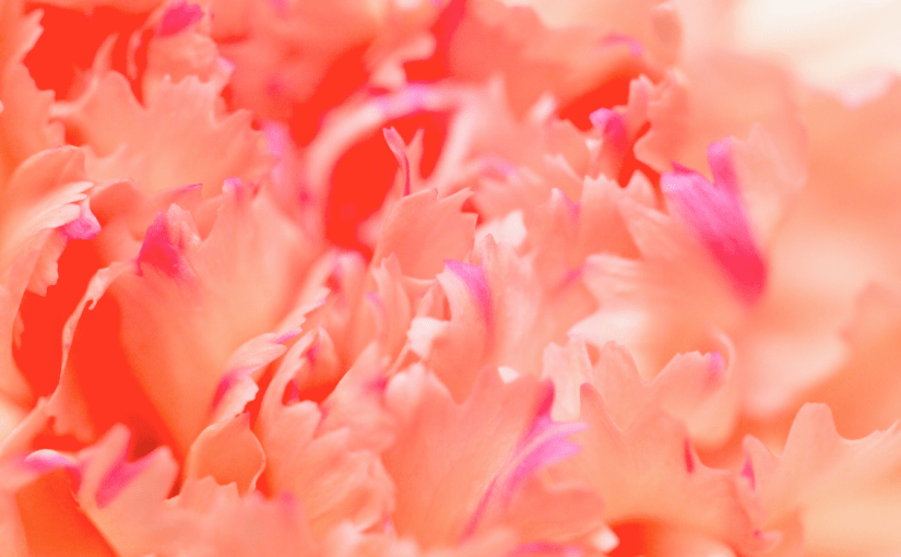 Who Are We Campaign – Identifying Top of Funnel Marketing&nbsp;Strategies