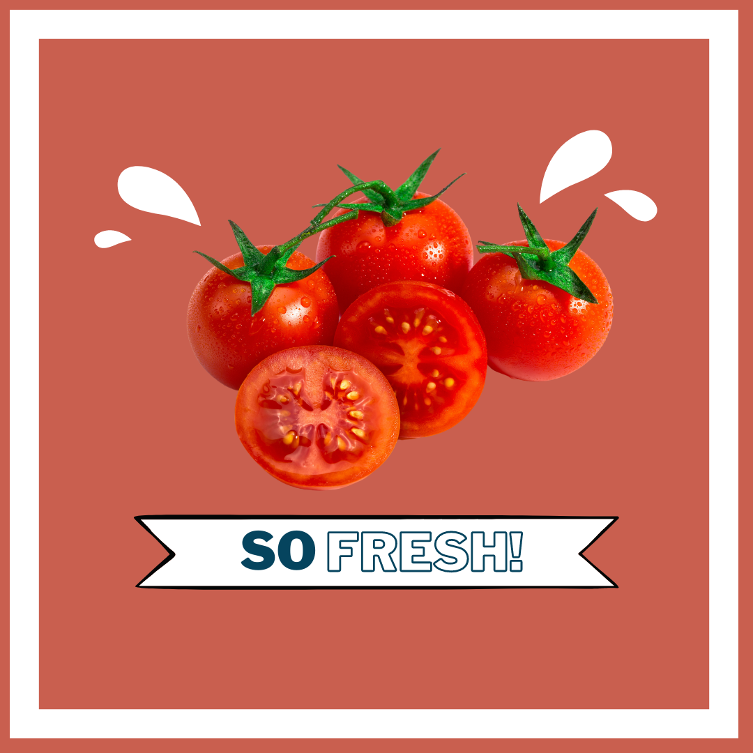 DFS Website Graphics - Homepage (1)