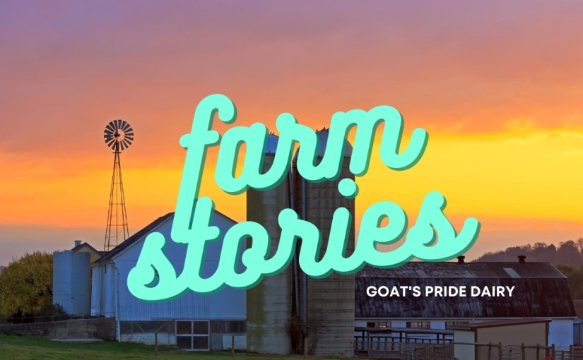 Farm Stories – Goat’s Pride&nbsp;Dairy